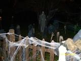 RINGGOLD GRAVEYARD 2008 ELECTRIC CHAIR 284